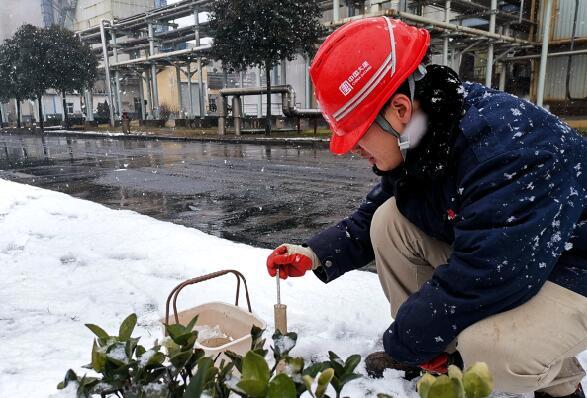 大唐環(huán)境特許經營分公司積極應對低溫雨雪冰凍災害