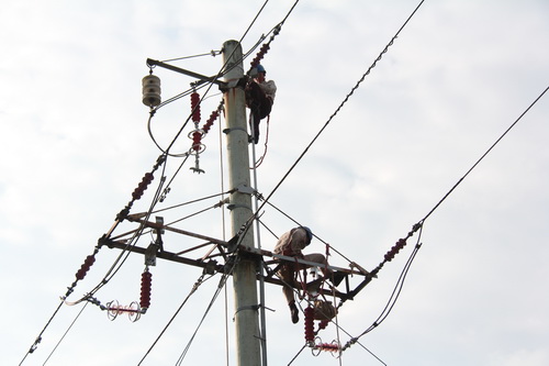 國網(wǎng)霞浦供電公司加裝線路避雷器，保障兩節(jié)期間電網(wǎng)可靠性