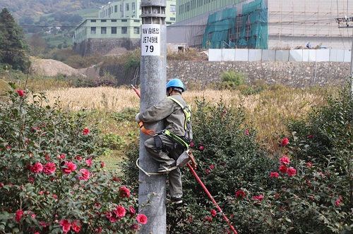 國網寧波市鄞州區(qū)供電公司柱上開關退保護，為供電可靠性架起橋梁