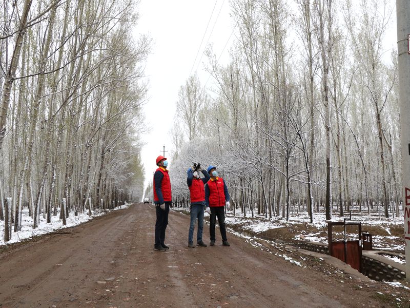 國網(wǎng)伊犁伊河供電公司四月飛雪，電力員工巡視線路保供電