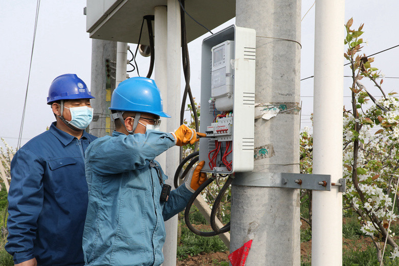 國網(wǎng)諸城市供電公司電力足，千畝梨園花正濃