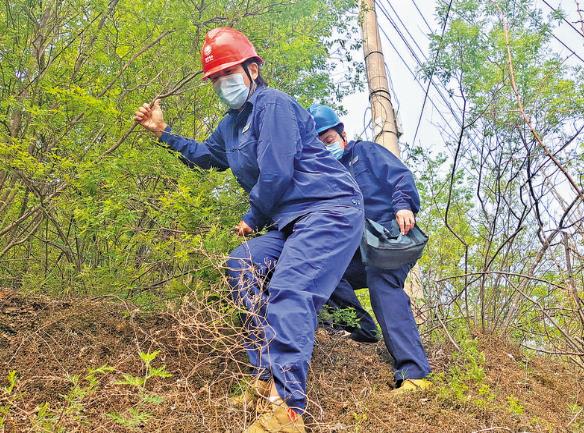 李淑芳：用心守護大山里的萬家燈火