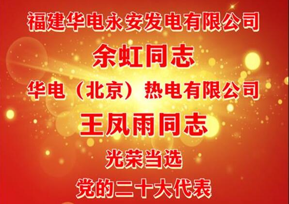 中國華電余虹、王鳳雨同志當選黨的二十大代表