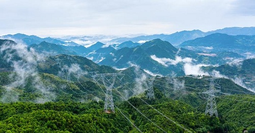 【非凡十年】國網浙江電力公司：不負綠水青山 之江勇立潮頭