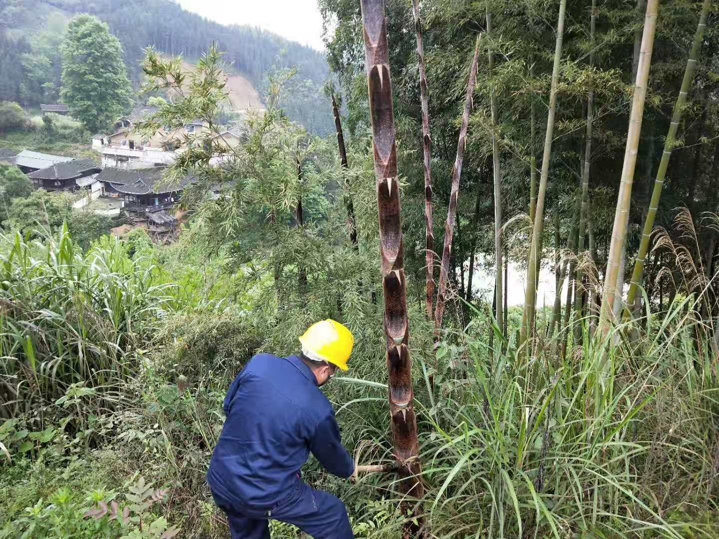 國(guó)網(wǎng)中方縣供電公司春檢砍青忙 線路通道暢