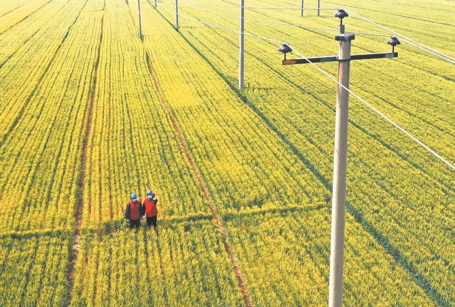 建立服務臺賬，精準了解村民用電需求