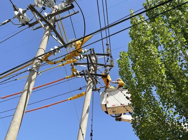 帶電作業(yè)除隱患，安全供電有保障