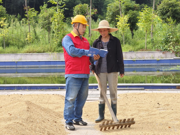 國(guó)網(wǎng)衢州供電公司紅船服務(wù)“零距離”電助水稻“喜豐收”