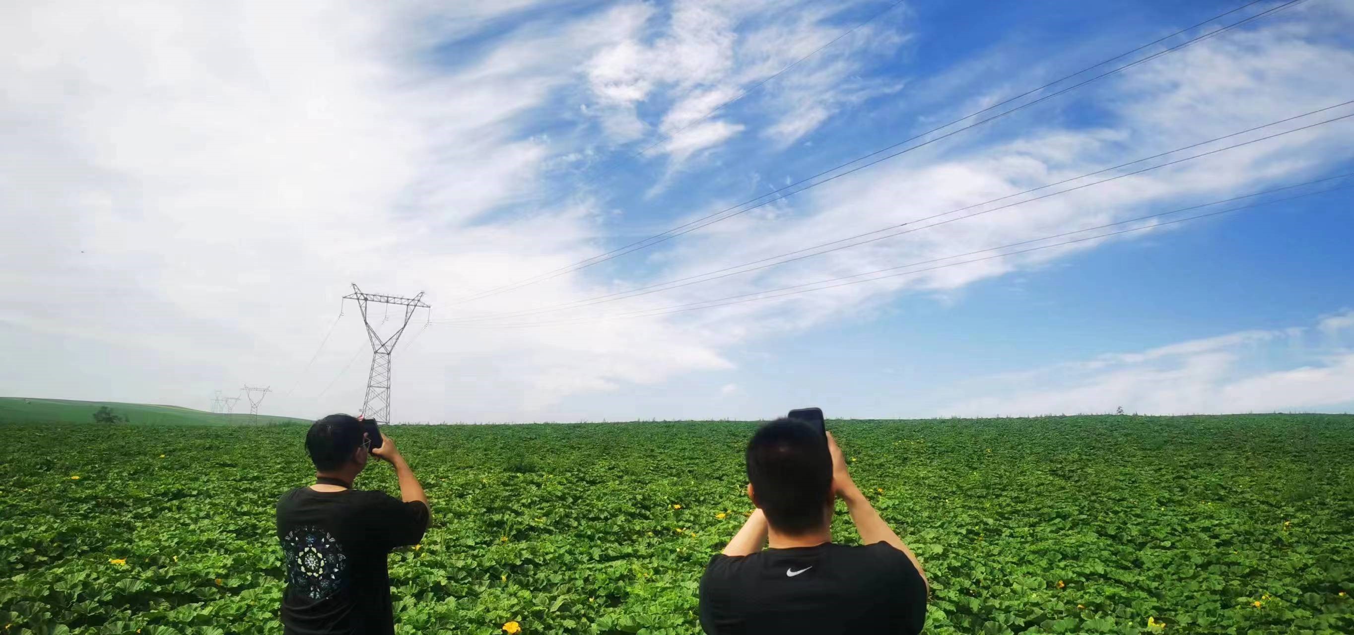 四子王輸變電管理處：防外力破壞，助安全運行