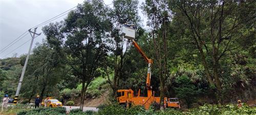 國網壽寧縣供電公司清理線路通道 打造“安全走廊”