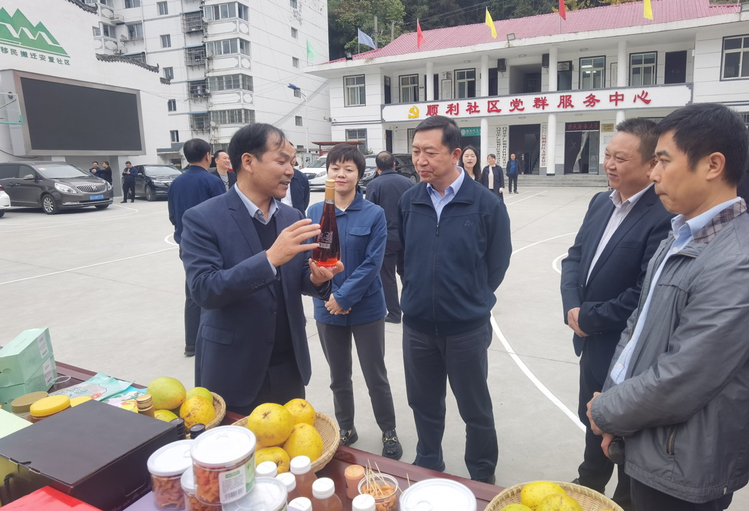 中核集團總經(jīng)理、黨組副書記顧軍赴陜西白河、旬陽調(diào)研鄉(xiāng)村振興工作