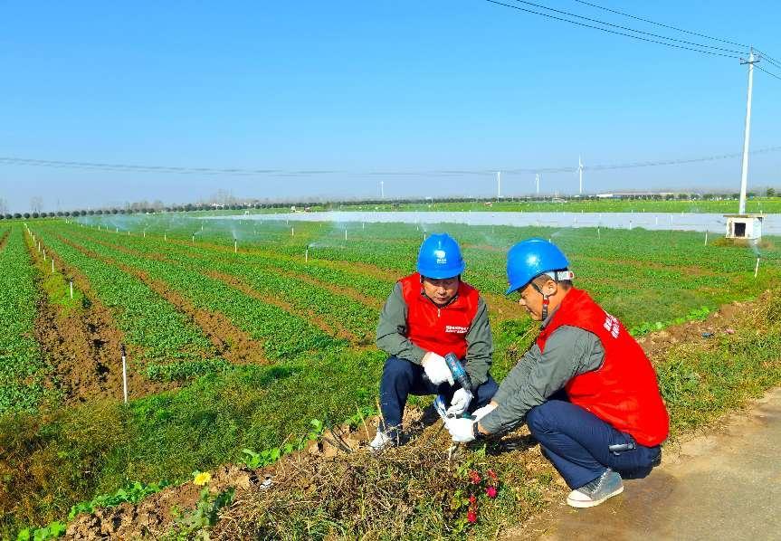 國網(wǎng)西平縣供電公司電力守護“菜籃子” 大棚用上放心電