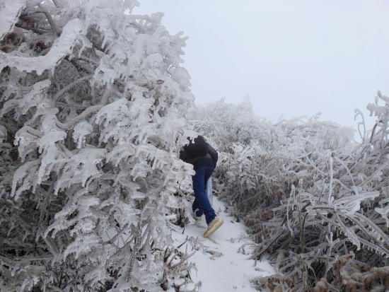 【新春走基層】迎雪而上攻堅行，奮戰(zhàn)不息護(hù)光明