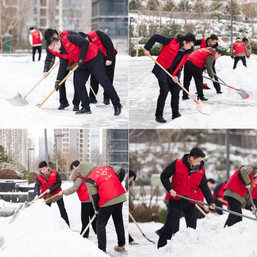 白雪更映“志愿紅”，山東電建公司志愿者掃雪除冰在行動