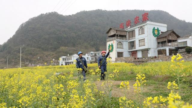 貴州貞豐供電局優(yōu)質(zhì)服務(wù)助力智慧農(nóng)業(yè)春耕備耕