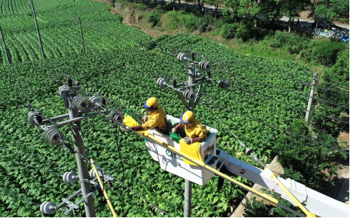 國網(wǎng)松溪縣供電公司“帶電+保電”升級改造電網(wǎng)