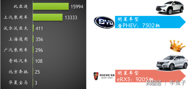 新能源汽車(chē)"純電"銷(xiāo)量稱王 插混遭遇瓶頸